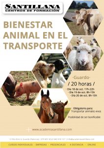 Curso Bienestar Animal en el Transporte @ Santillana Centros de Formación Guardo