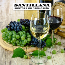 curso estructura vitivinicola caracteristicas vinos españoles
